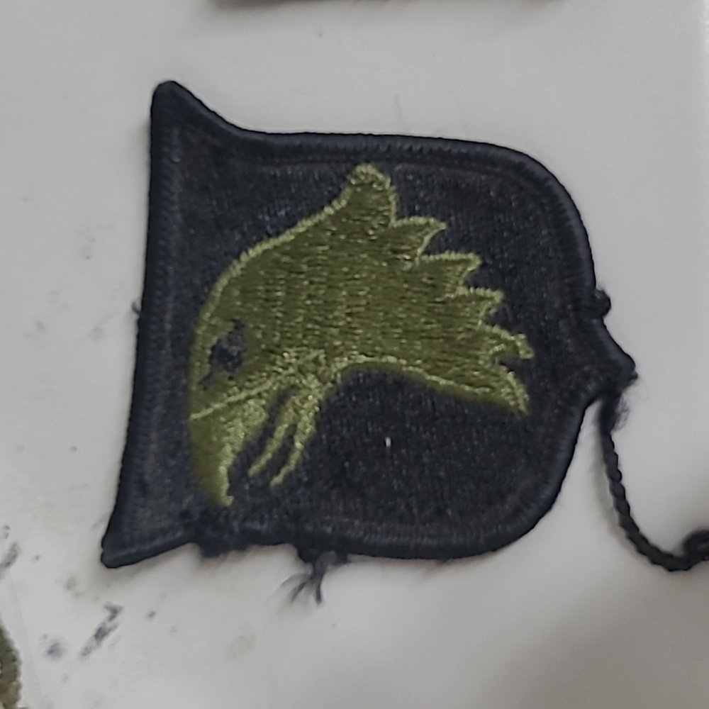 US Army 101st Airborne Screaming Eagles Division Patch Insignia Subdued Sew On